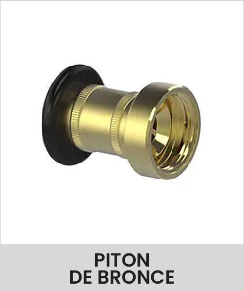 Descripción de la imagen